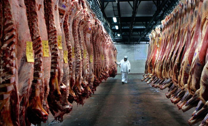 Folk, der kan lide smagen af kød, har større tendens til moralsk at forsvare retten til at spise kød. Men bør smagspræferencer påvirke moralen? Foto: Ritzau Scanpix