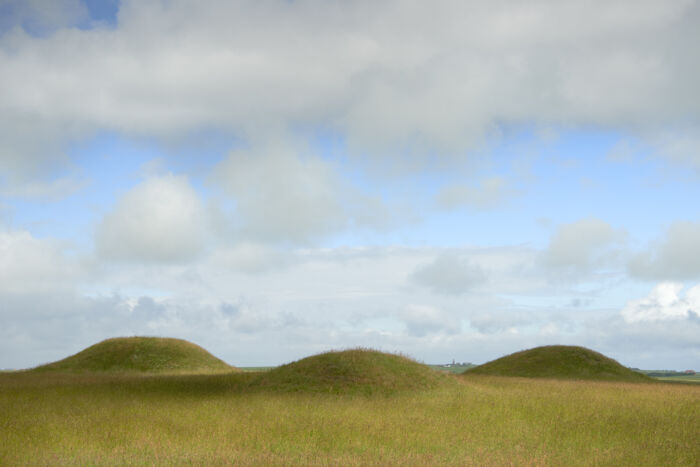 Tre af gravhøjene ved Ramme Dige. Mellem højene anes Bovbjerg Fyr. Foto: Morten Rasmussen