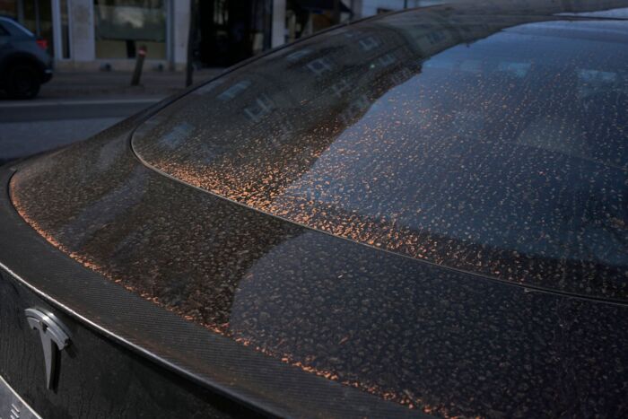 Ikke så bibelsk at det gør noget. Saharastøv på en bil i Hellerup efter blodregn i 2021. Foto: Martin Frøland, Scanpix.