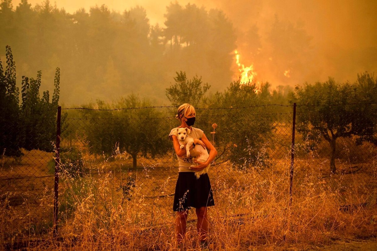 <p>En kvinde med hund følger skovbrandene, der i august raserede på Evia, Grækenlands næststørste ø. Regionen oplevede i sommer de værste hedebølger i dette århundrede, hvilket ifølge eksperter er direkte forbundet med de menneskeskabte klimaforandringer. Foto: Angelos Tzortzinis, Scanpix</p> Foto: ANGELOS TZORTZINIS